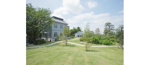 緑地環境を拡大整備した日本庭園