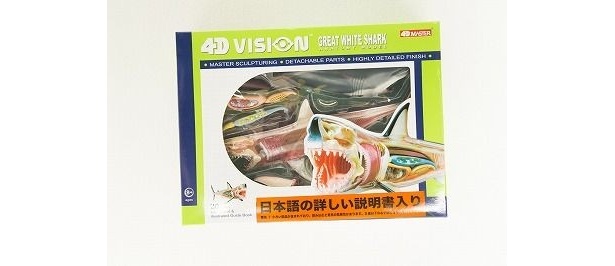 「サメの標本型パズルは、内臓が見えていても全然平気で、じーっと眺めてしまいます」