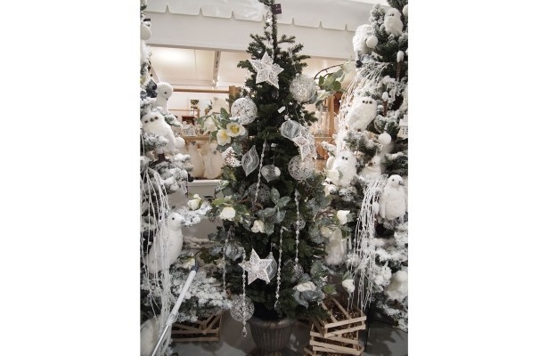 今回季節ものとして海外から買い付けた、かわいいクリスマスツリーを販売予定。10階「うめだスーク」にて。