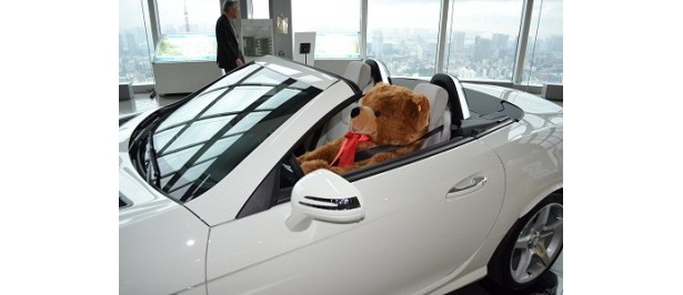 車を運転するテディベア