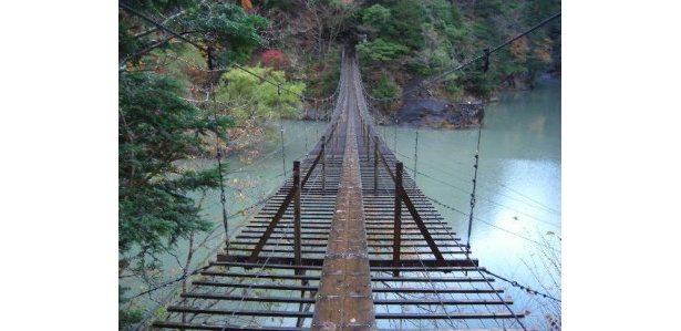 橋の真ん中を走る板が特徴的な静岡県の「夢の吊橋」
