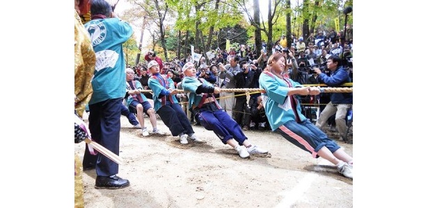 画像1 3 勝つと敷地が広がる 県境をずらす綱引き とは ウォーカープラス