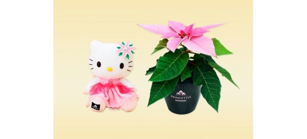 プリンセチア×ハローキティの限定マスコットが当たる！ 「ピンクXmasキャンペーン」