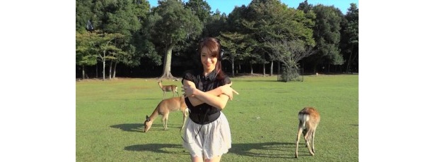 奈良代表のあやなさん