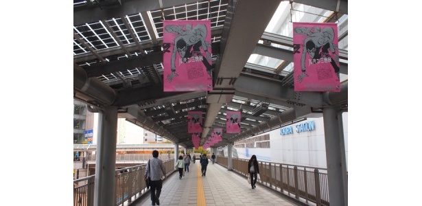 駅から会場までの道もテンションが上がる！