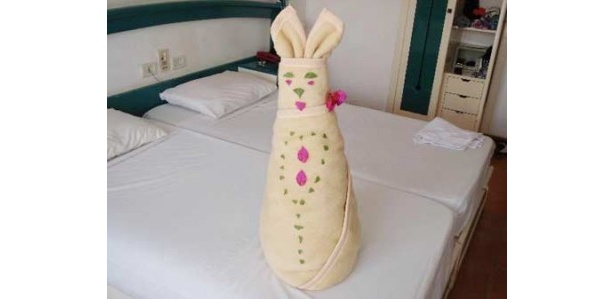 スペインの「All Seasons Badawia Sharm Resort」で見られるウサギ