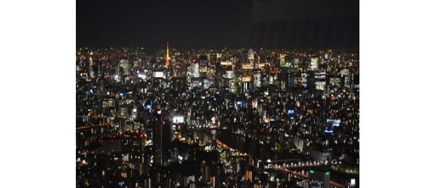 遠方には東京タワーも見える