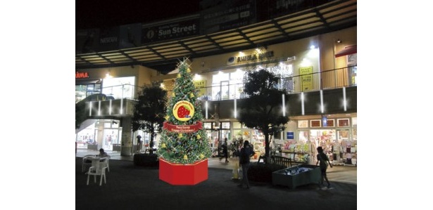 8mのジャンボクリスマスツリーがサンストに出現！点灯式に小倉優子、サーターアンダギーが来場