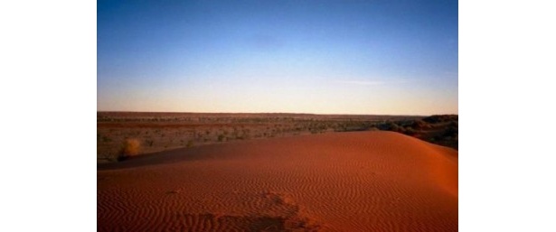 オーストラリア「シンプソン砂漠」