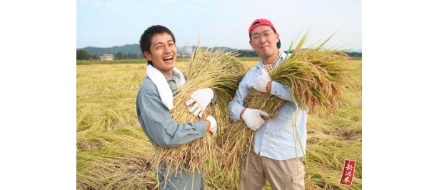 コシヒカリの収穫を喜び、笑顔に！