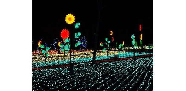 静岡県の「つま恋サウンド・イルミネーション」