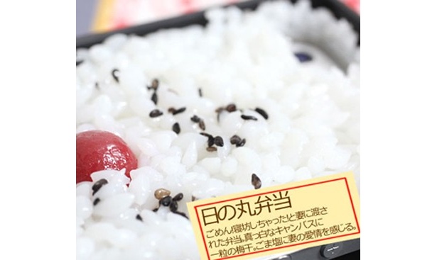 日の丸弁当の「iPhone5専用食品サンプル愛飯カバー」
