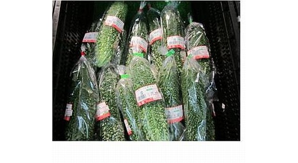 沖縄で採れた新鮮野菜が北海道で売れている！