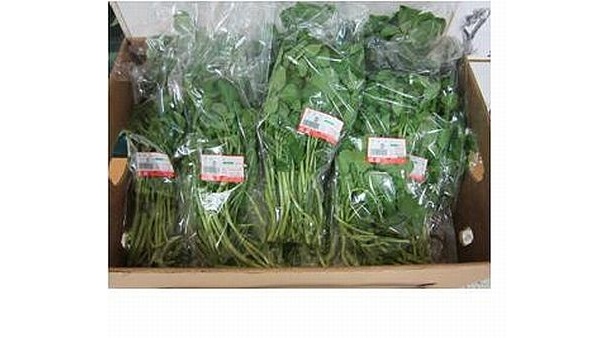 【写真を見る】その他の売れ筋野菜と商品詳細はコチラ