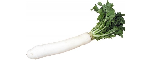 小金井市が野菜で街おこし! 江戸東京野菜の魅力