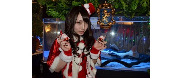 メイドカフェBAR「あきばとっぷすいーと」のメイドサンタ