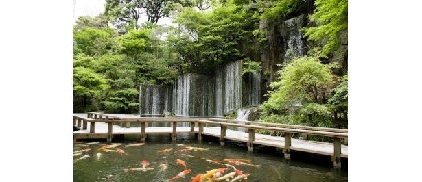 中庭に流れる大迫力の瀧はラウンジからも眺めることができ、園内のパワースポットでもある