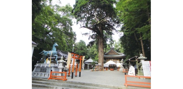 滋賀県・近江八幡市にある加茂神社