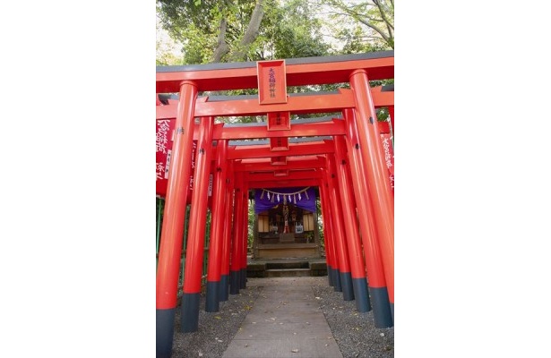 【写真を見る】大宮八幡宮の朱色の鳥居をくぐって、金運アップ、商売繁盛をお願いしよう！