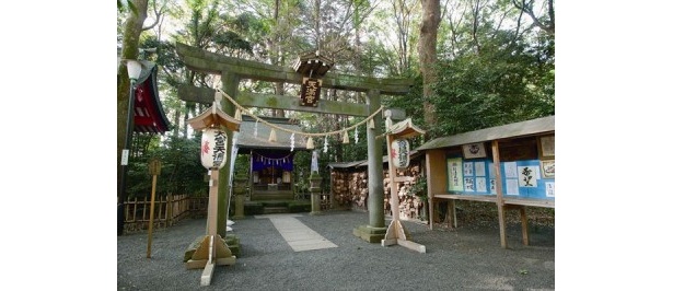 大宮八幡宮の大宮天満宮は、言わずと知れた学問の神様・菅原道真公を祀る