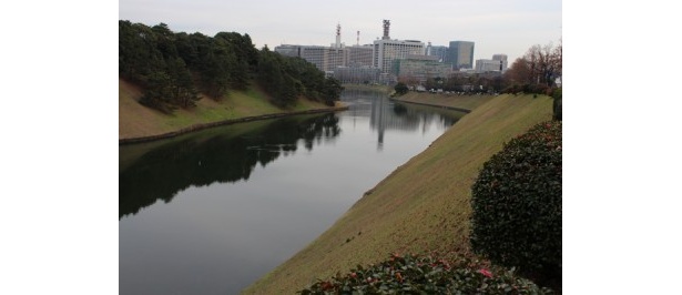 皇居周辺の景色にも癒される