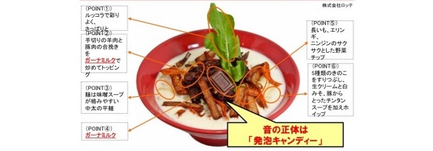 「味噌ガーナ2013」の徹底解剖図では6つのポイントを解説