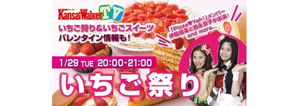 【1/29（火）20：00～USTREAM配信】アイドルたちが新ゲーム「いちごスイーツかるた」にチャレンジ！関西ウォーカーTV 「いちご祭り！」