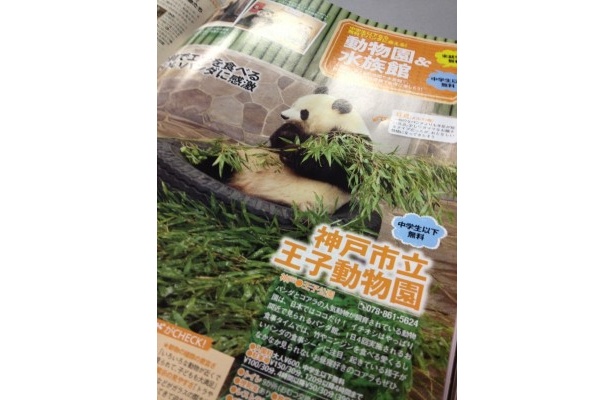 人気者とのふれあいをおトクに楽しめる「動物園＆水族館」