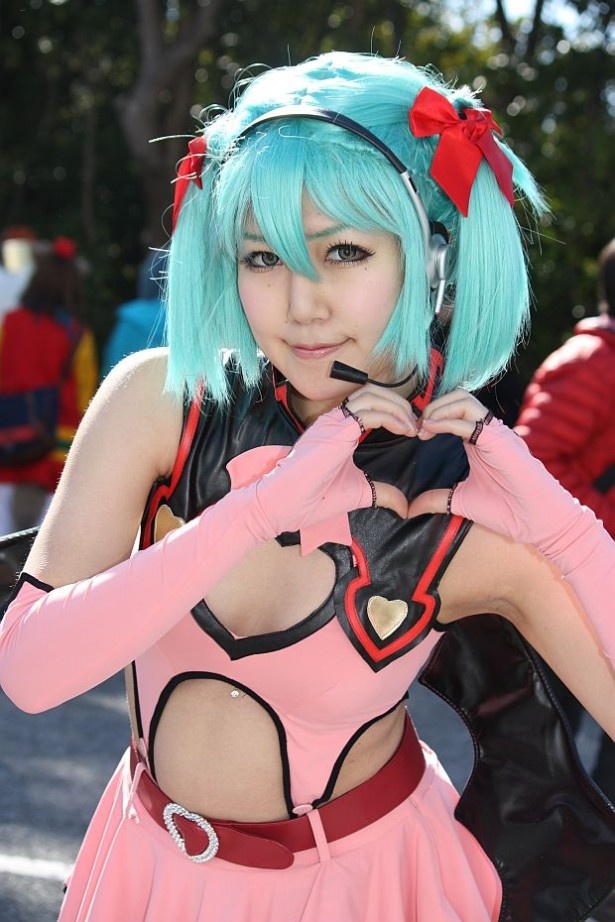ワンダーフェスティバル2013(冬)　写真5/20