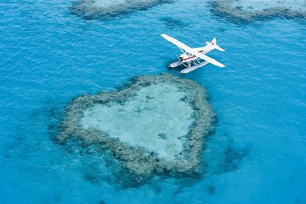 上空から眺めて楽しめる、グレートバリアリーフのハート形サンゴ礁