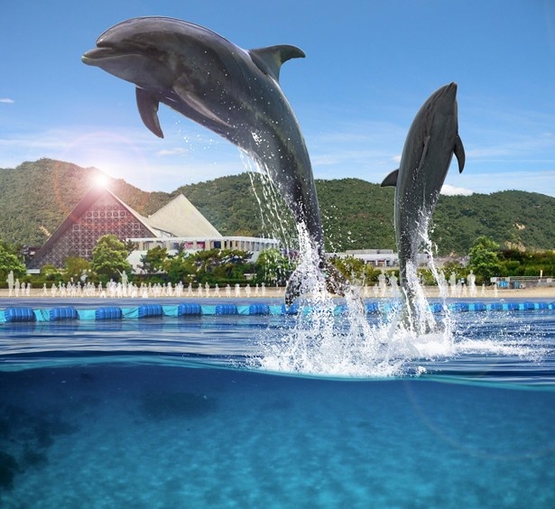 13年6月上旬～7月下旬に須磨海浜水族園が「須磨ドルフィンコースト」を実施。須磨海岸をバンドウイルカ2頭が遊泳する