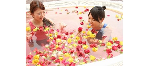 箱根小涌園ユネッサンでバラ風呂に入ってセレブ気分！