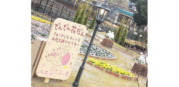 花畑をゆったりとめぐる