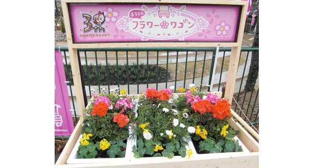 園内のあちこちに花が