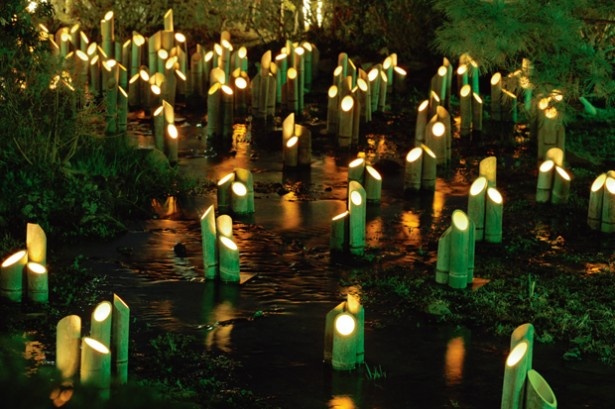 円山公園内を流れている吉水のせせらぎ一面が約500本の青竹の登録で満たされる