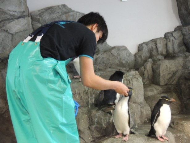 エサをほお張る姿もじっくり観察して
