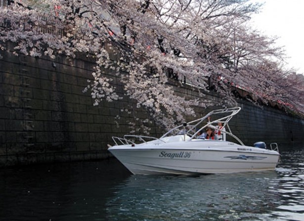 今回の体験会で乗れたボート「AS-21」。定員6名なのでグループで花見ができる！※写真はYAMAHAのもの