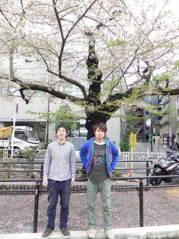 さらば青春の光