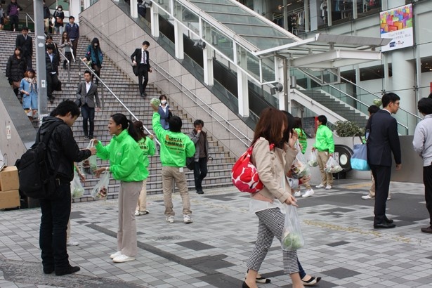 3/29にはJR新宿駅の街頭でサンプリングを実施！「はなまる」にちなんで870個のレタスがサンプリングされた。