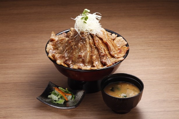 【写真を見る】網焼きの豚肉とたれがマッチした「筑波山」(1500円)など、食べ応えのあるメニューがずらり！