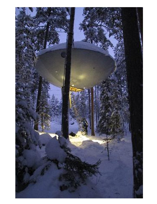 【写真を見る】雪原の樹上に設置されたUFOのようなホテル。内装はどうなってる!?