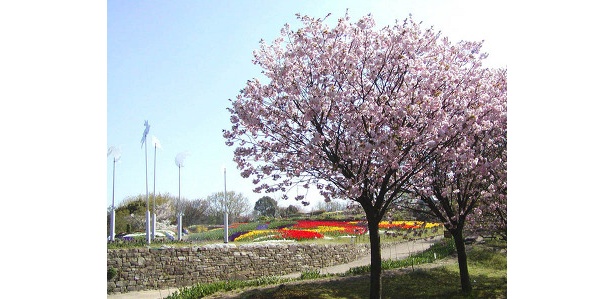 東山動植物公園