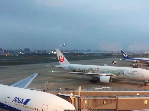 ビアテラスからは離発着する飛行機や駐機中の飛行機が眺められる！