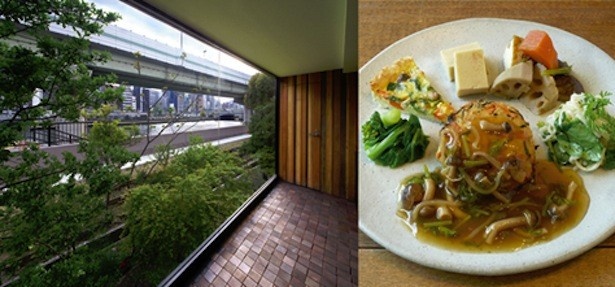 Label cafe Osakaの大きな窓から緑を眺めつつ日替わりランチプレートを