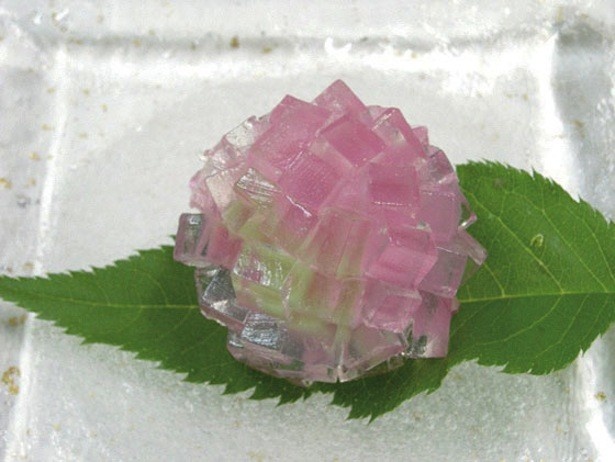 湘南菓庵 三鈴の「上生 紫陽花」は涼やかな色合いで上品な輝き