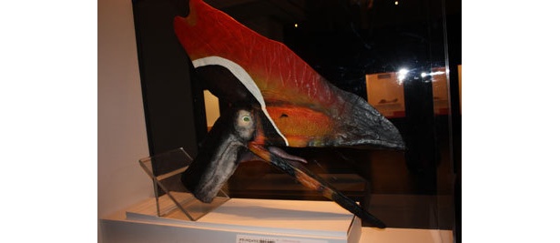 頭の大きなトサカが特徴的なタラソドロメウス