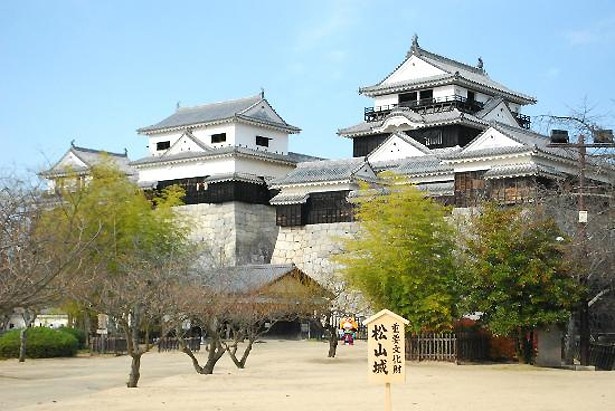 愛媛県の松山城