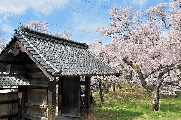 長野県の高遠城(高遠城址公園)