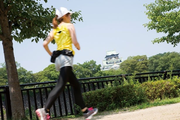 東外濠すぐ横の桜並木の道から天守閣が眺められる