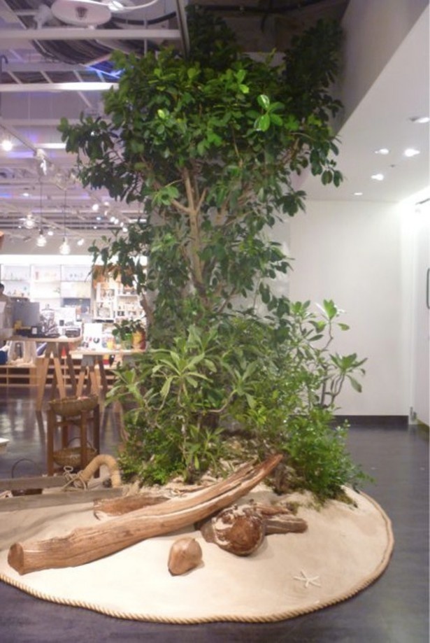 渋谷ロフトでの「島ガール」展